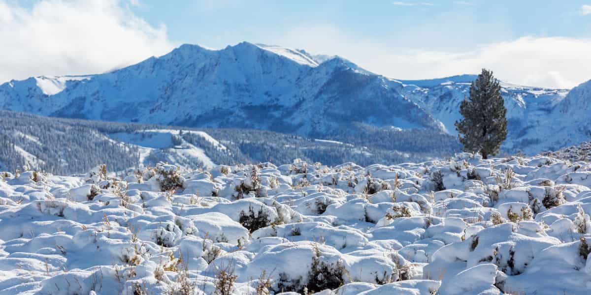 Consejos para fotografiar la nieve este invierno en Sierra nevada