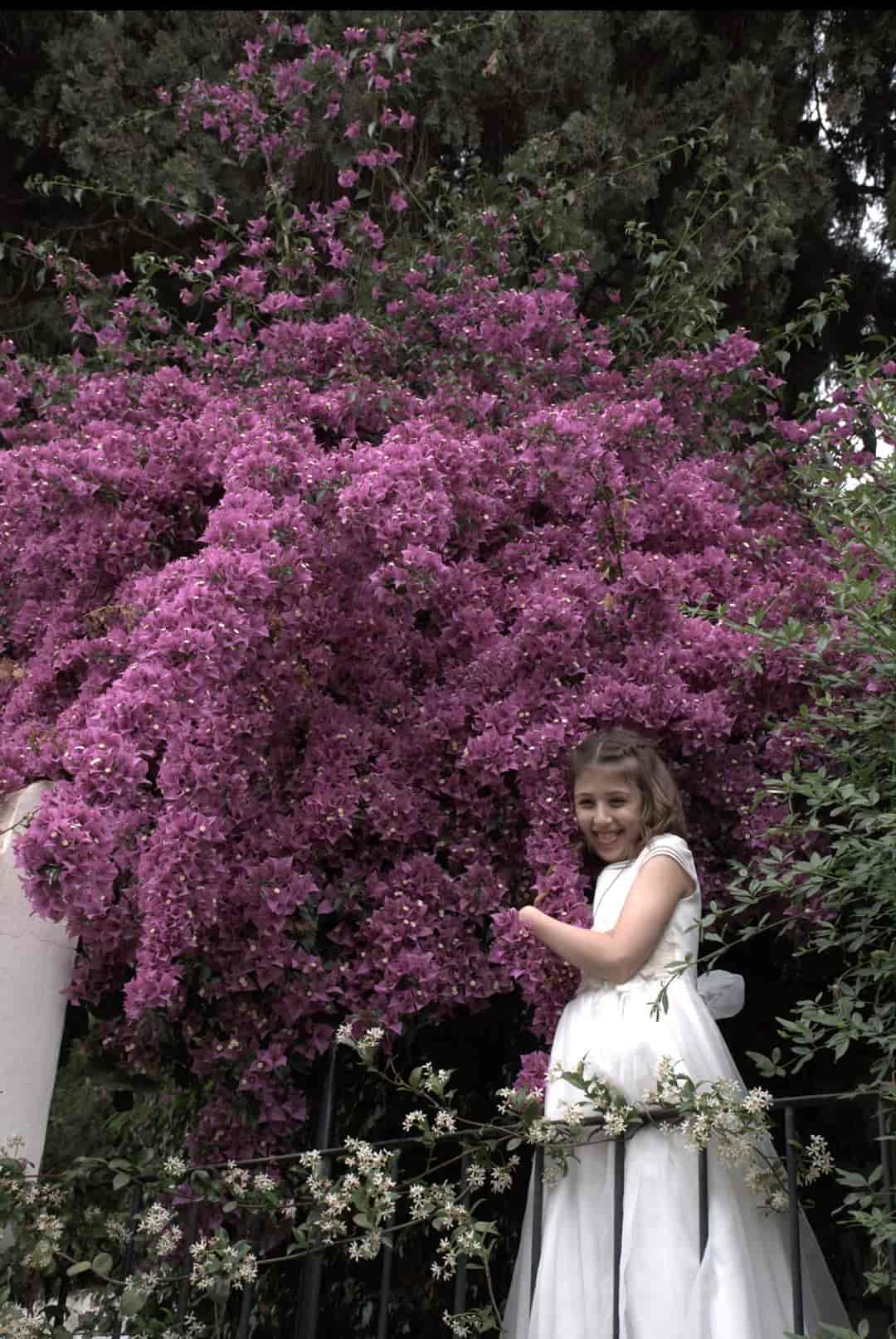 Fotografía de una niña de comunión abrazando un gran arbusto con flores rosas